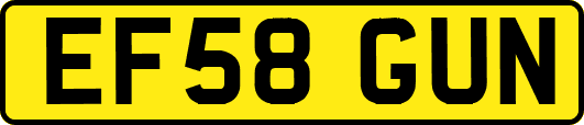 EF58GUN