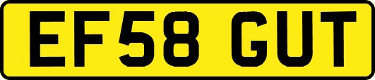 EF58GUT