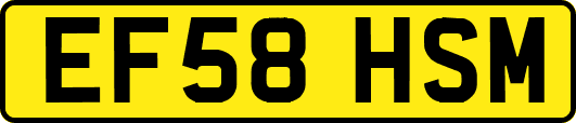 EF58HSM