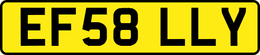 EF58LLY