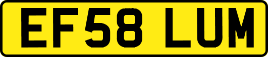 EF58LUM