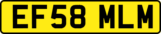 EF58MLM