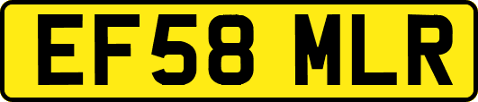 EF58MLR