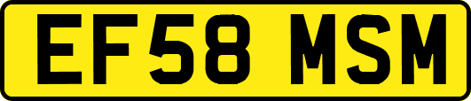 EF58MSM