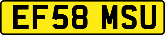 EF58MSU