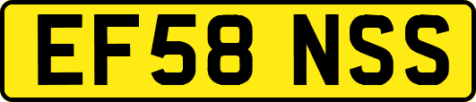 EF58NSS