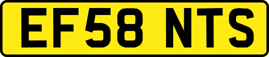 EF58NTS