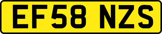 EF58NZS
