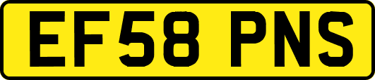 EF58PNS