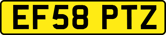 EF58PTZ
