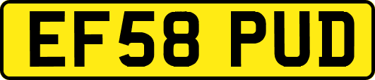 EF58PUD