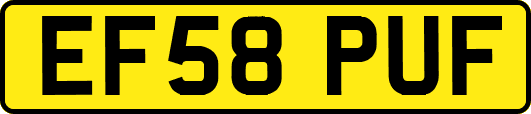 EF58PUF