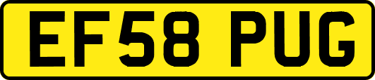 EF58PUG