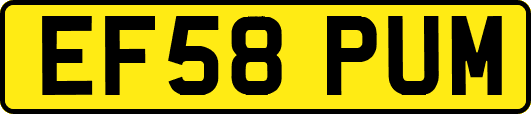 EF58PUM