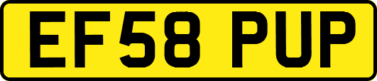 EF58PUP