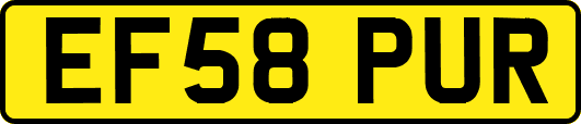 EF58PUR