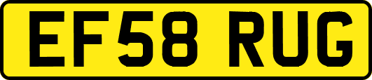 EF58RUG