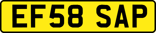 EF58SAP