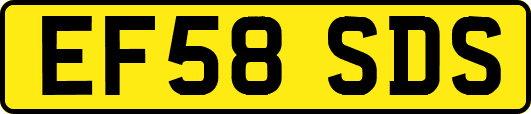 EF58SDS
