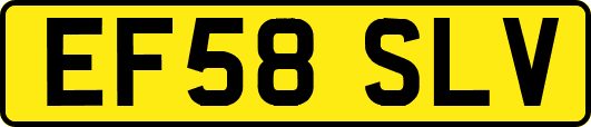 EF58SLV