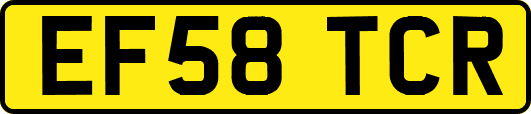EF58TCR