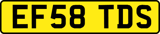 EF58TDS