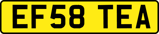 EF58TEA