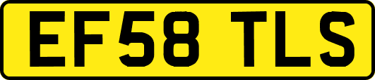 EF58TLS