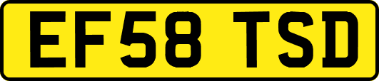 EF58TSD