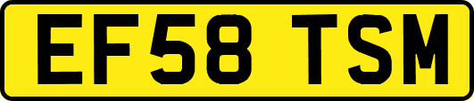 EF58TSM