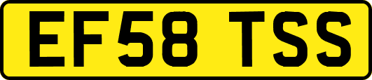 EF58TSS