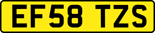 EF58TZS