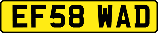 EF58WAD