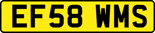 EF58WMS
