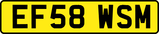EF58WSM