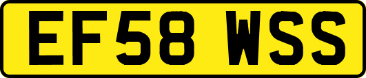 EF58WSS