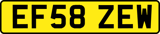 EF58ZEW