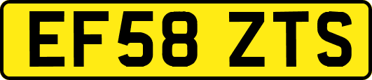 EF58ZTS