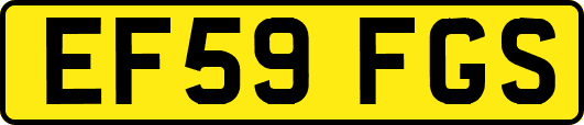 EF59FGS