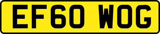 EF60WOG