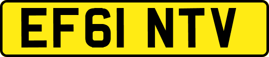 EF61NTV