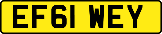EF61WEY
