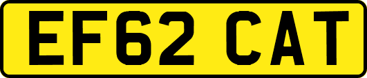EF62CAT
