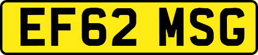 EF62MSG