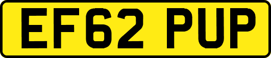 EF62PUP