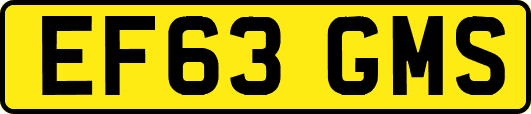 EF63GMS