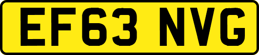 EF63NVG