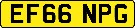 EF66NPG