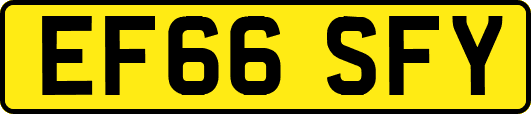 EF66SFY