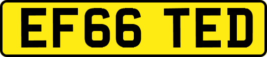 EF66TED
